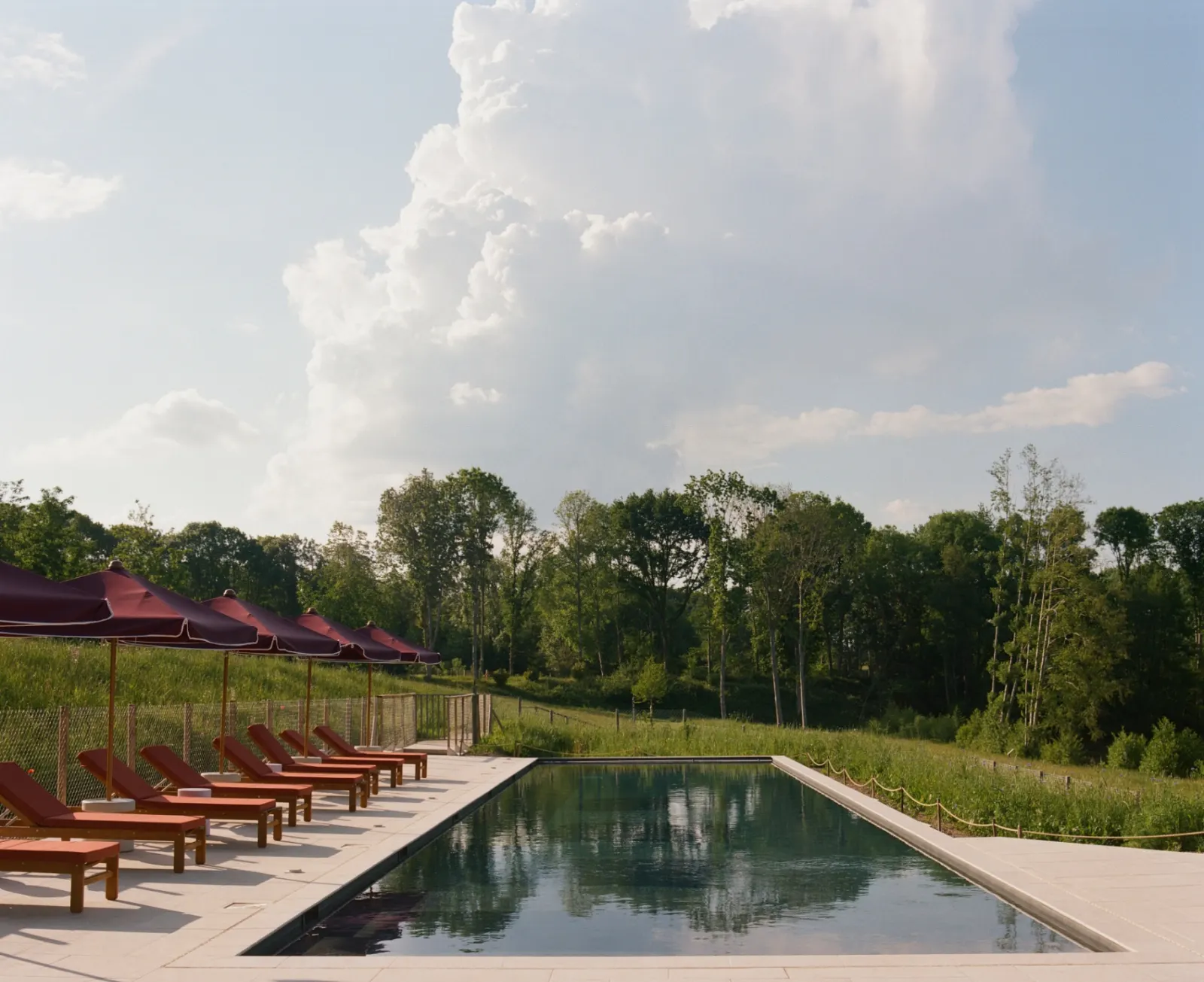 La piscine de Repère Sauvage